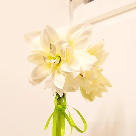 Il Giglio - Free Parking *