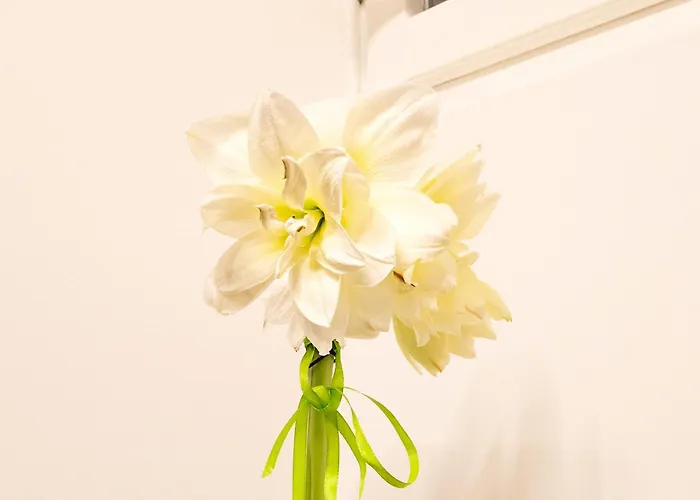 Il Giglio - Free Parking *